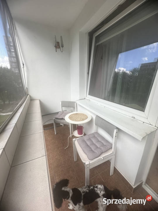 Do wynajęcia mieszkanie 2 pokojowebalkon Kraków