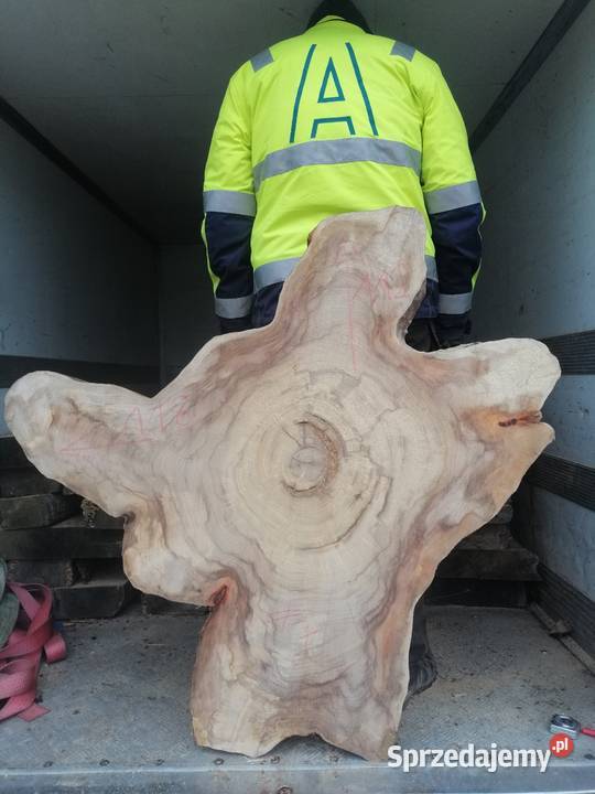 Stolik kawowy plaster wiązu 100 x 100 x7