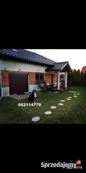 Deski elewacyjne Pozostałe Wolsztyn