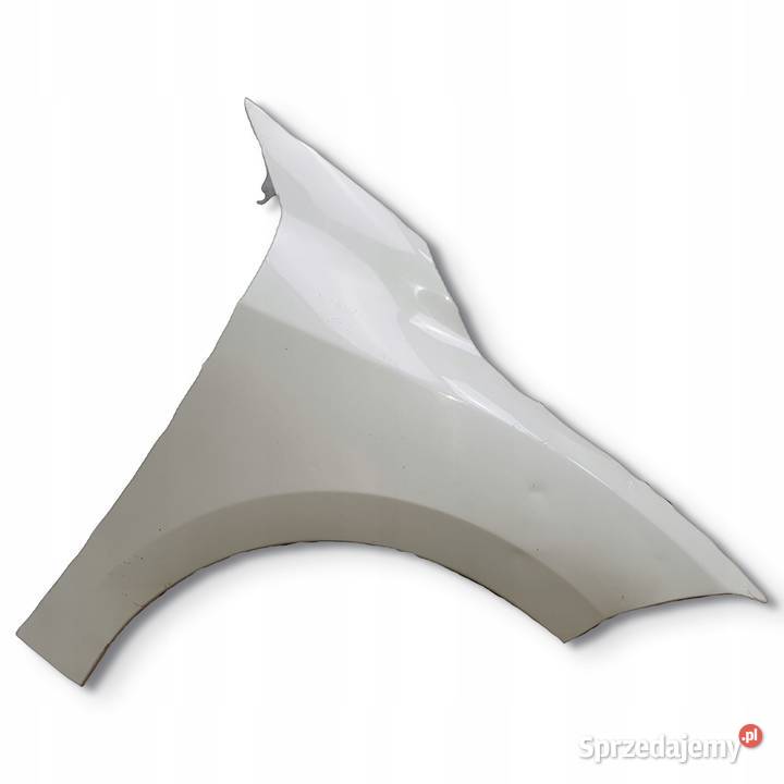 PRZEDNI BŁOTNIK PRAWY Renault Megane III Chełm