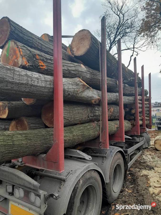 Drewno kominkowe opałowe Radzionków sprzedam