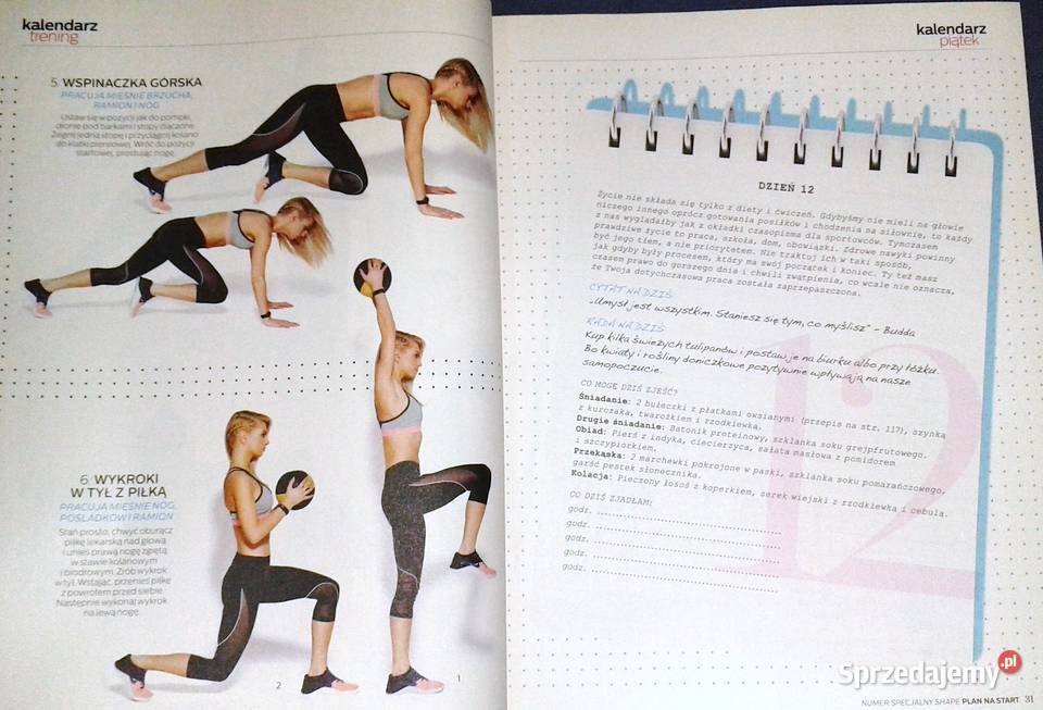 Shape Plan na start Wiosna 012017 lubelskie Chełm