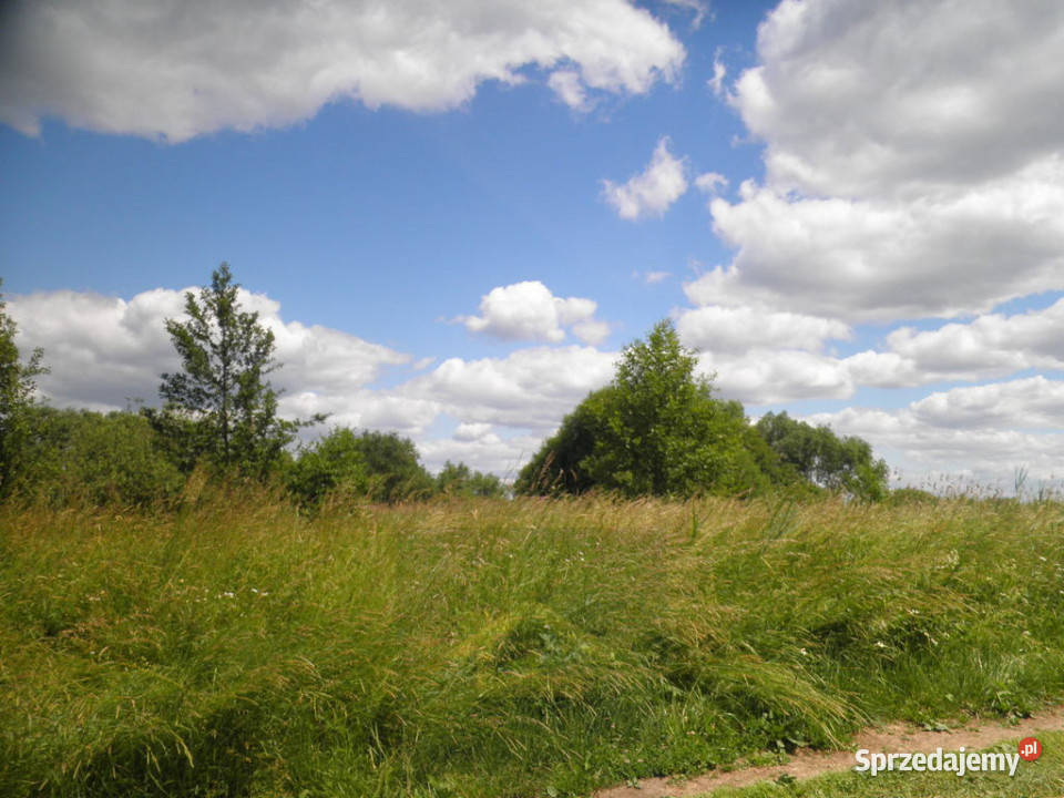 Ogłoszenie działka Ostrowiec