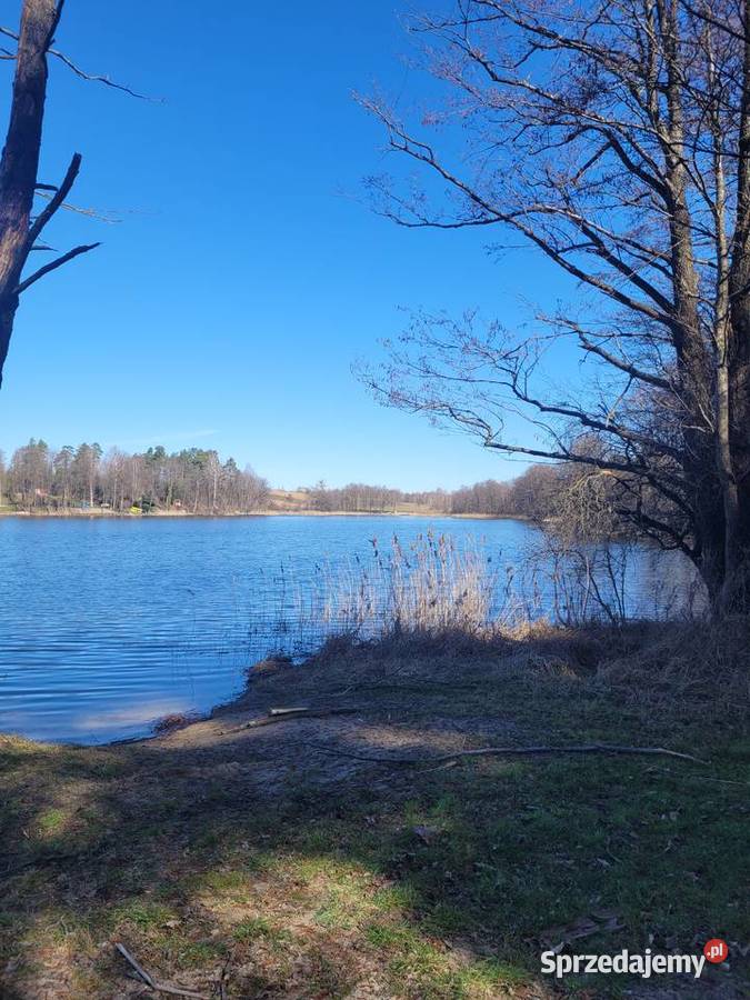 Działka rolna z warunkami zabudowy Lubiewo/Mikołajki bez pośredników