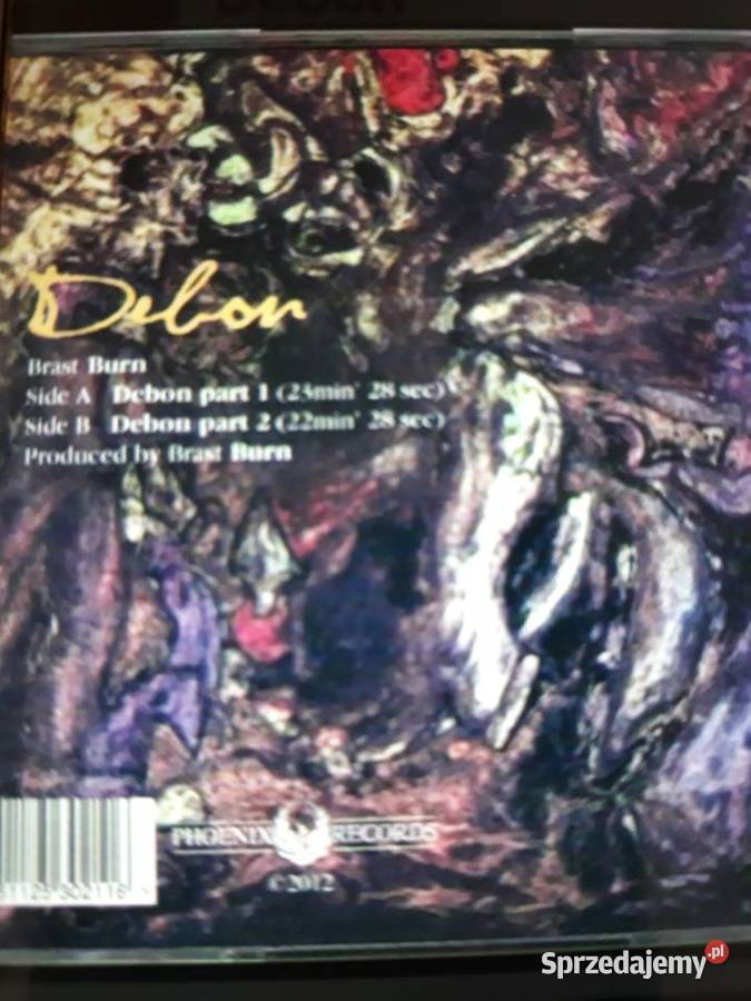 Archiwum Krautrockowej psychodelii BRAST BURN podkarpackie Rzeszów