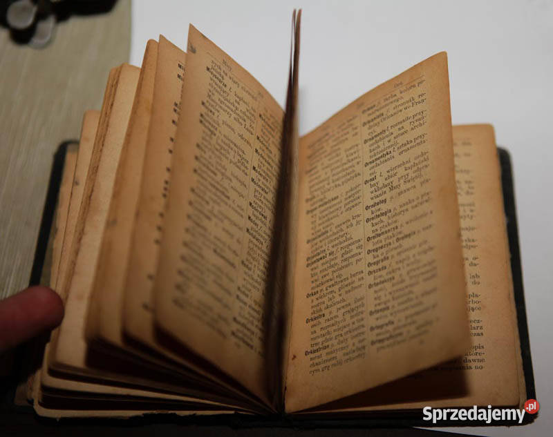 Słowniczek wyrazów obcych wyrazy i wyrażenia świętokrzyskie Kielce