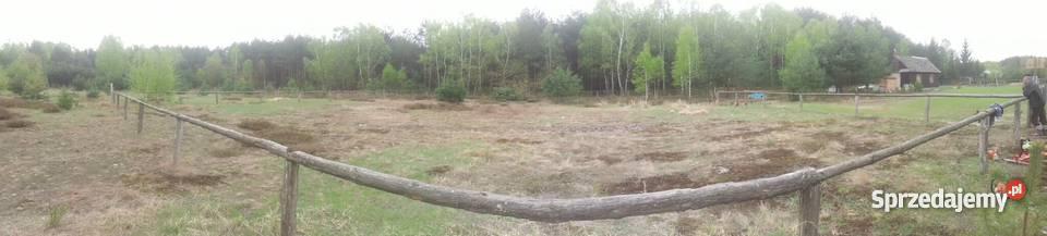 Działka Borowiec Tanwią malownicza okolica Borowiec