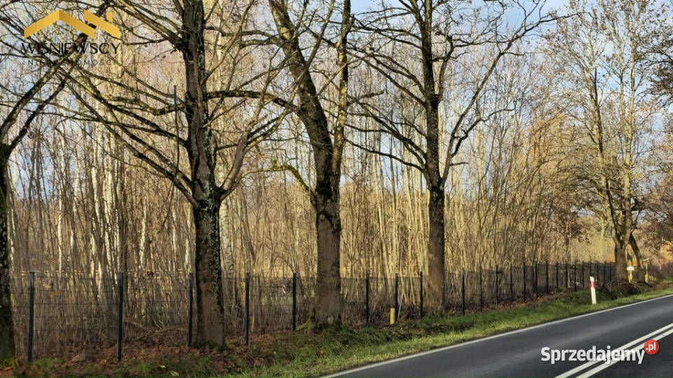Dawidy duża działka 05306 ha WZ