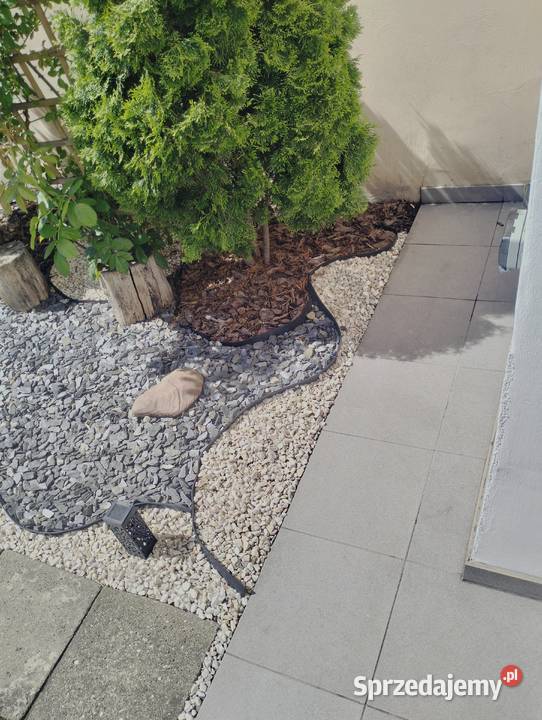 BEZCZYNSZOWE 2 pokoje z dostępem do ogródka i piwnica Nowe Miasteczko sprzedam