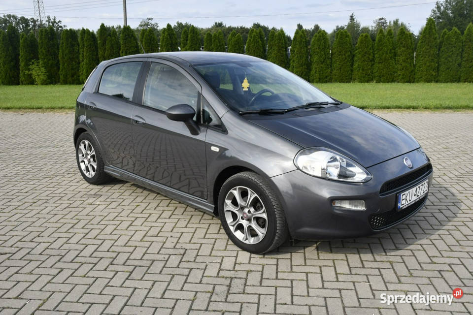 Fiat Punto Evo 13jtd DUDKI11 łódzkie Kutno