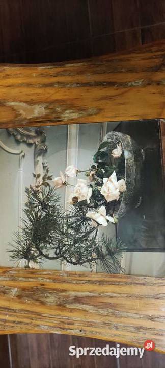 Bobby Vinton My Melody Of Love Unikat Pocztówka Płyty i kasety Gliwice sprzedam