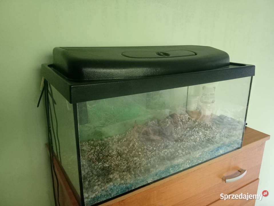 Akwarium Gąskowo