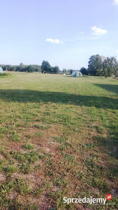 Udział 12 w nieruchomości gruntowej zabudowanej Liczba pokoi 6 Wola Buczkowska