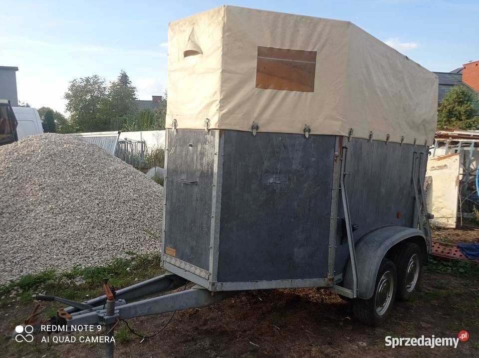 Przyczepa na 2 konie Westwalia 2000 dmc towarowe Skierniewice
