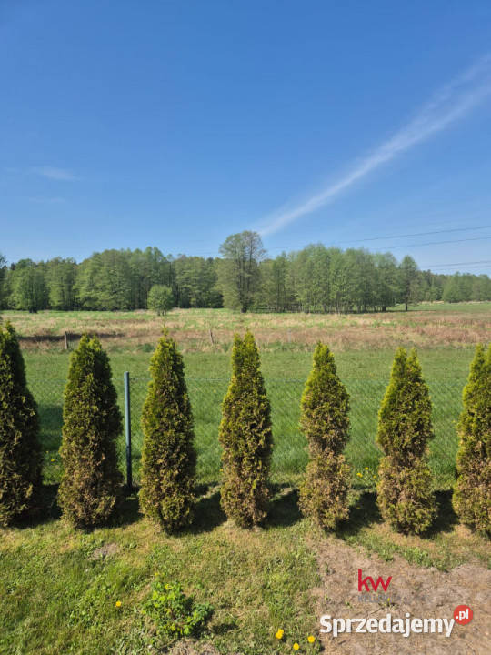 Grunt 2000m2 Gostyń Wojciecha Drzymały sprzedam