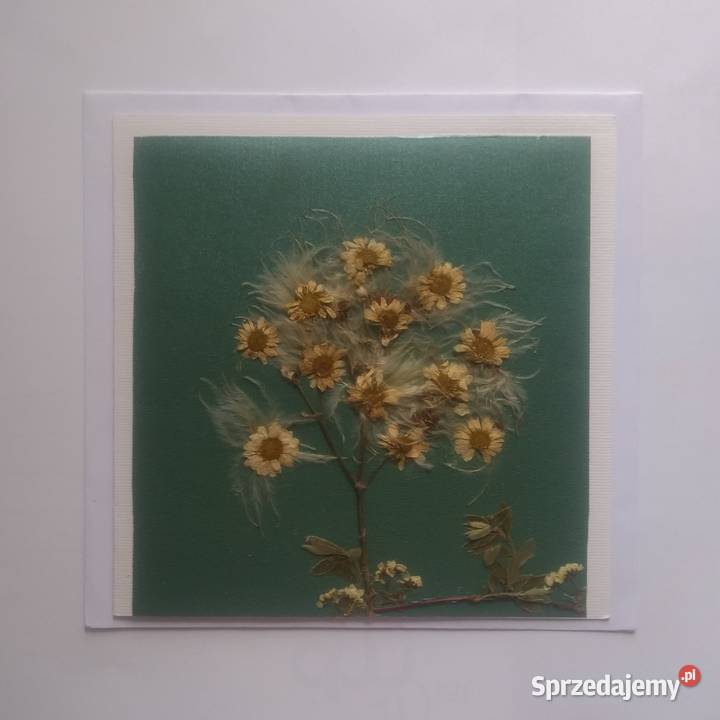 KARTKI OKOLICZNOŚCIOWE KWIATY SUSZONE Hand Made pomorskie Gdańsk