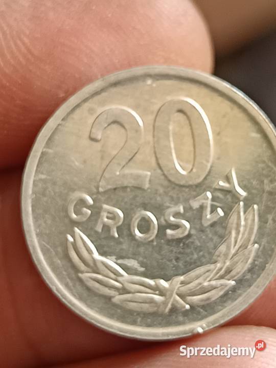 Sprzedam 20 gr 1981 r lekka skretka Chełm