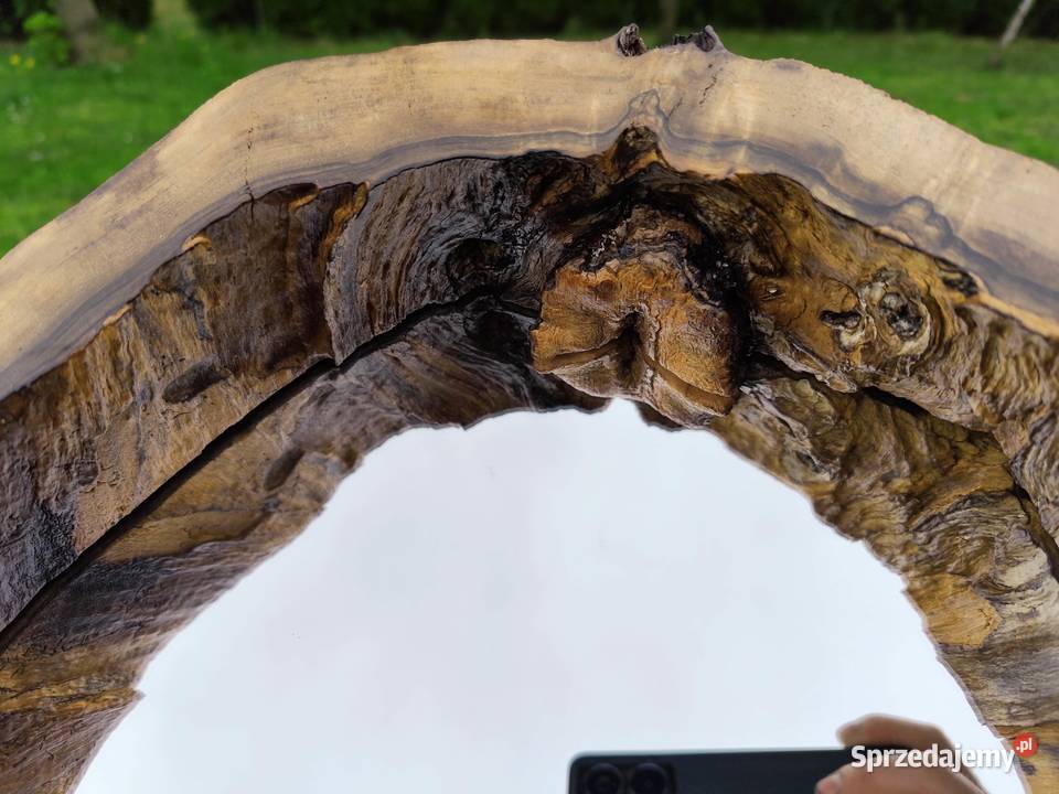 Lustro w pniu drzewa sprzedam