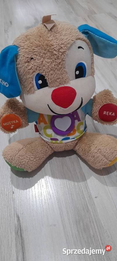 Piesek fisher promocja Edukacyjne Zawiercie