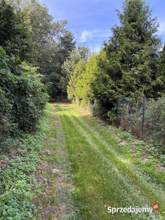 Siedlisko gospodarstwo Sprzedaż Sobieszyn