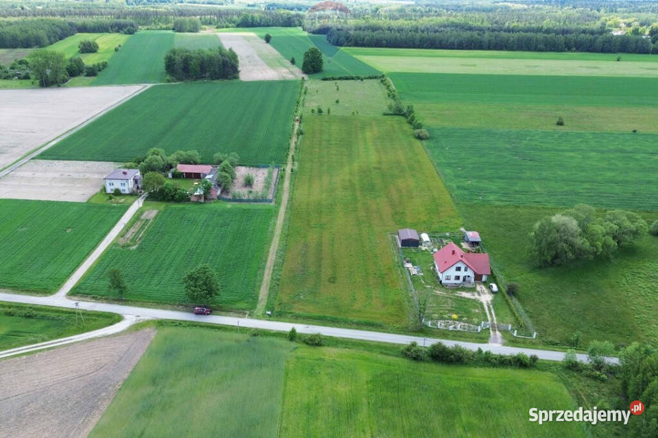 Teren 114 ha Korabiewice gm Puszcza Mariańska mazowieckie sprzedam