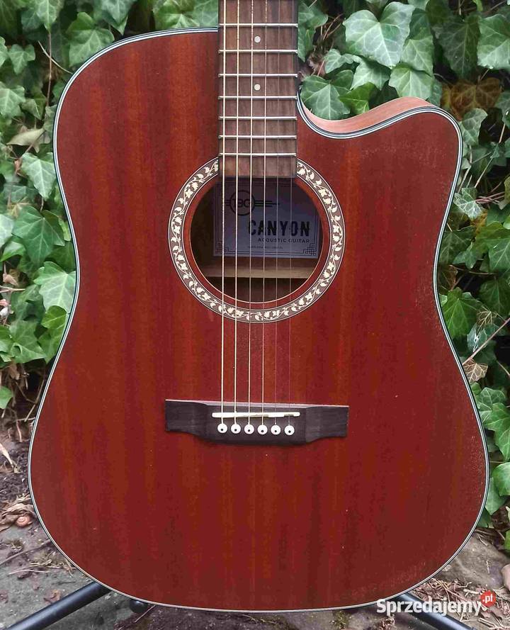 Gitara akustyczna BG Canyon akustyczna Tuszyn