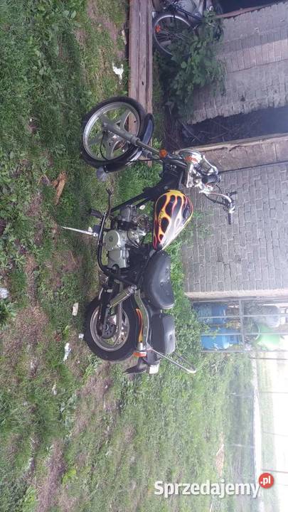 Chopper łoś Bogoria