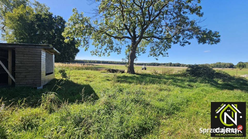 Dom wolnostojący na sprzedaż Łukęcin Słoneczna Sprzedaż sprzedam