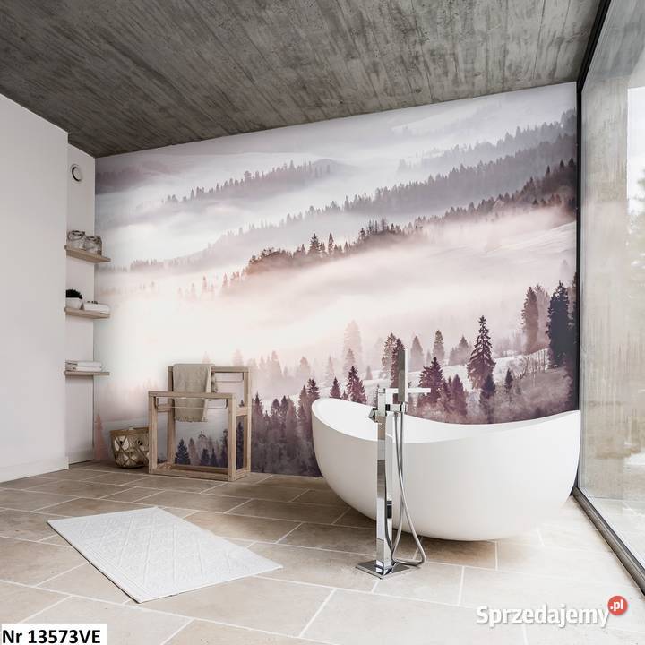 Tapeta fototapeta Widok we mgle lasy góry natura Leszno