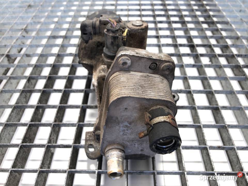 CHŁODNICA OLEJU PEUGEOT BOXER I 20 130 osobowe