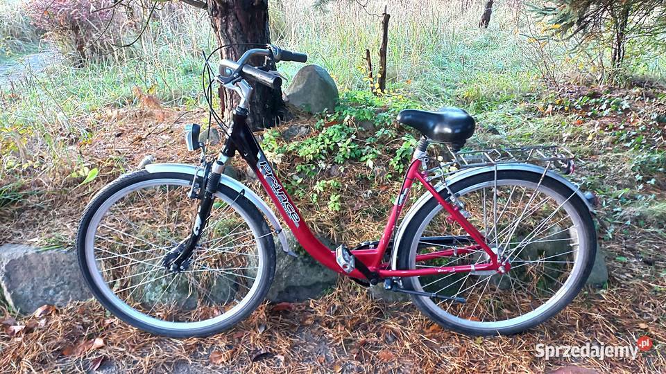 Alu Rower Miejski Damski Prince Damka Łabędź Wołów