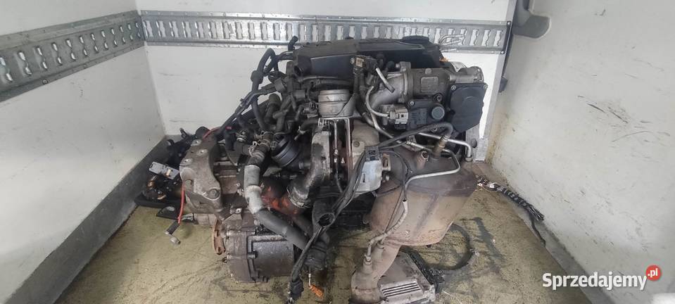 SILNIK 19 TDI BLS GWARANCJA Trzebnica