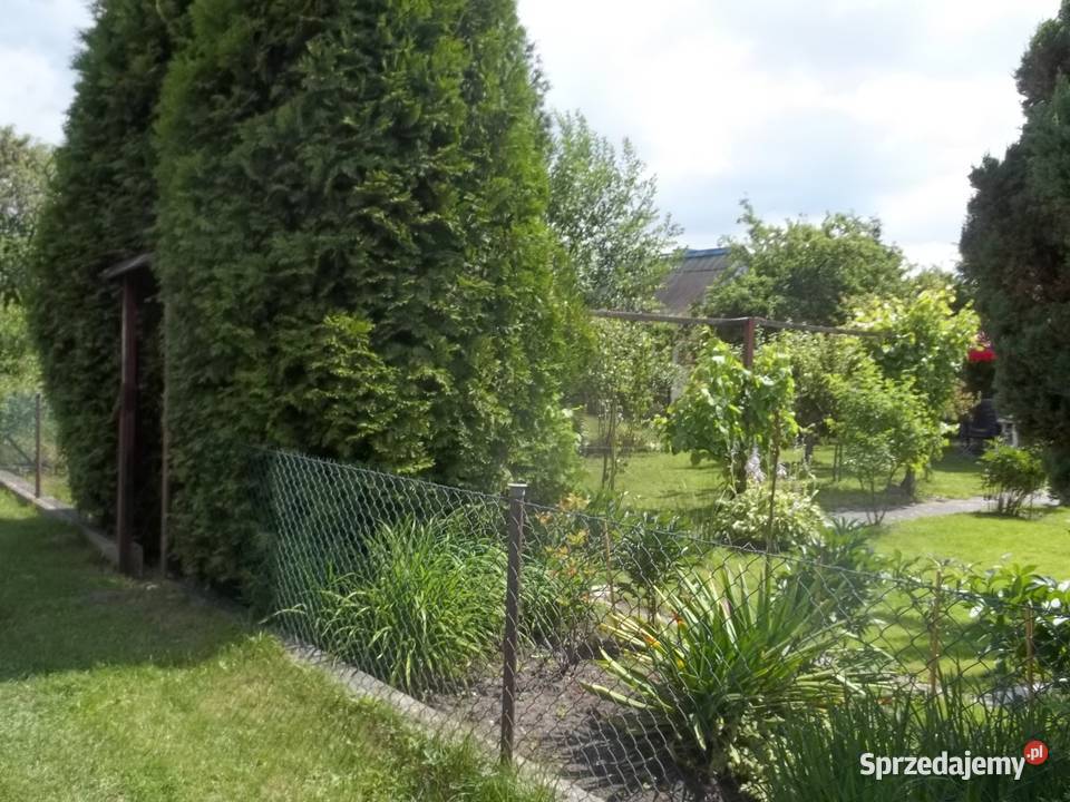 Ładna działka ROD Jeziorem Szczecin sprzedam