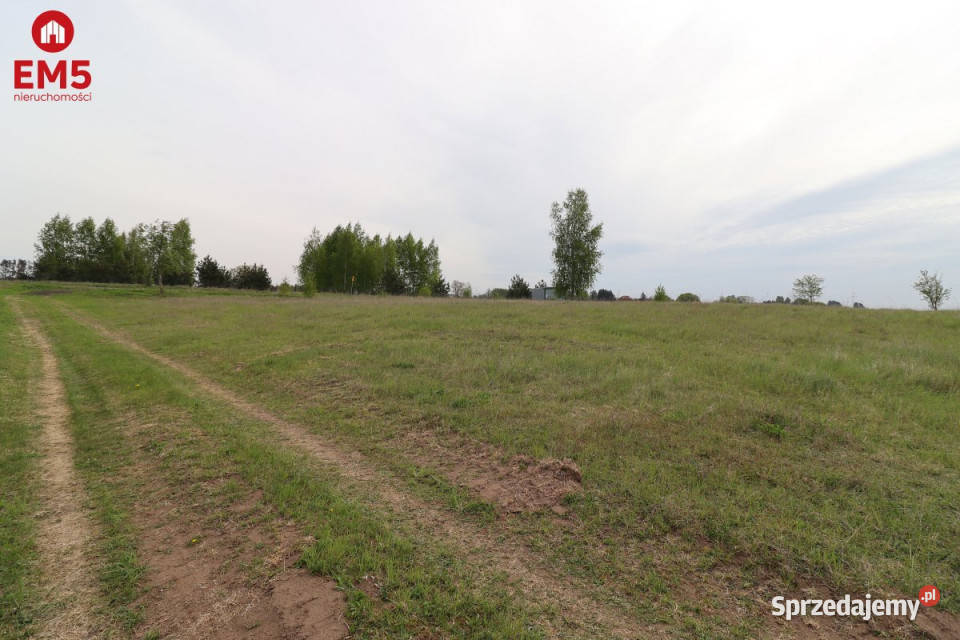 Do sprzedaży działka Piećki 3650m2 Sprzedaż sprzedam