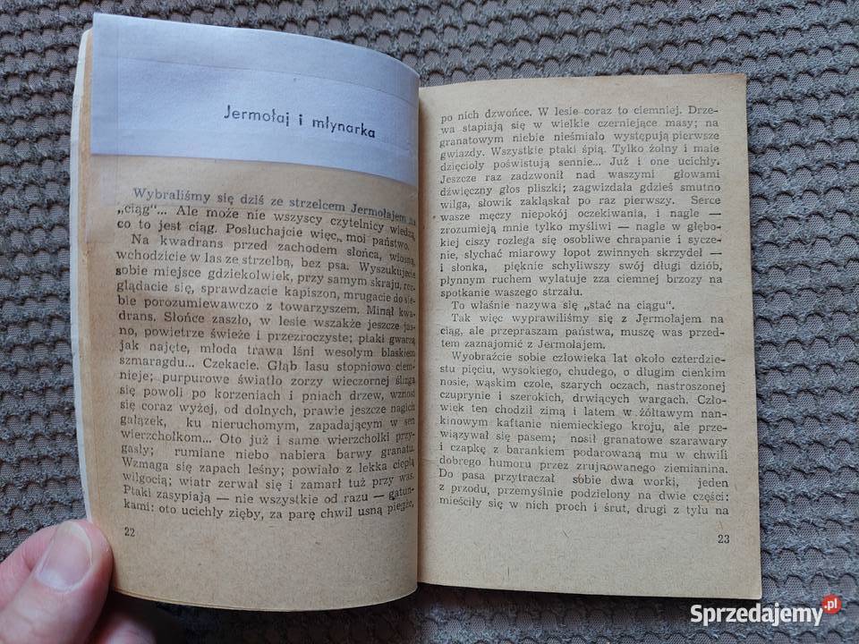 Kryształowa woda Iwan Turgieniew Kraków