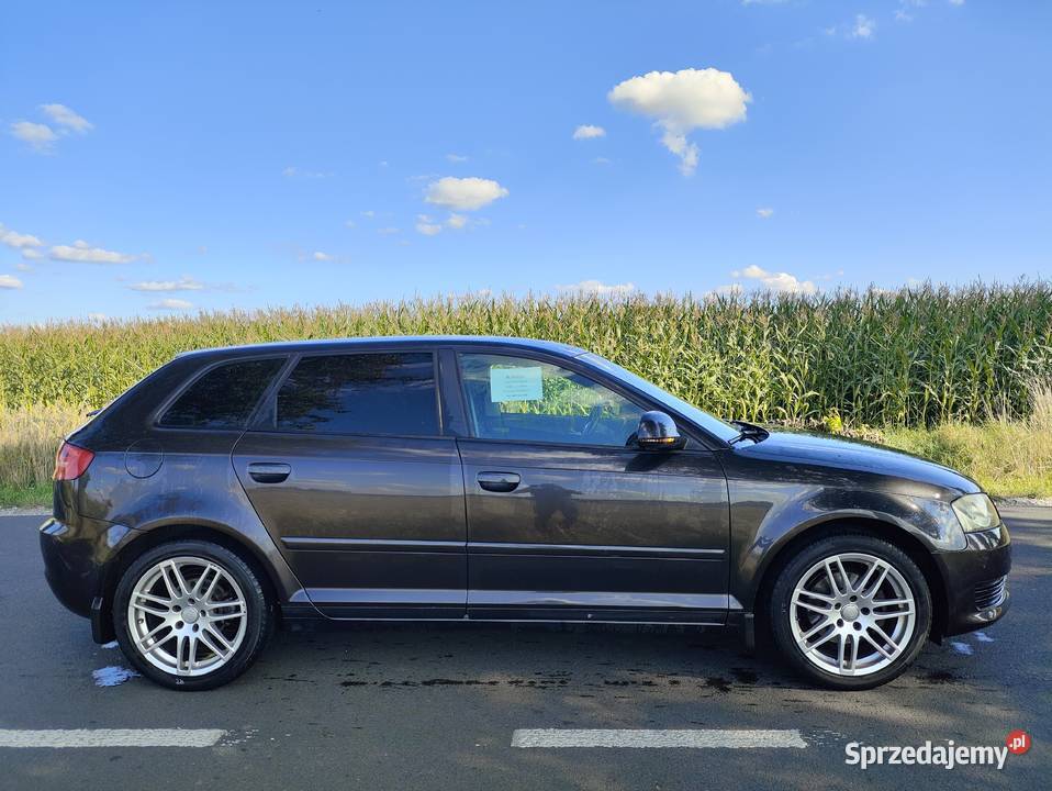 Sprzedam Audi A3 Sportback Wierzbinek sprzedam