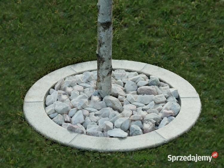 Obrzeże trawnikowe pod drzewa I krzew śr 50 Pozostałe Dębica