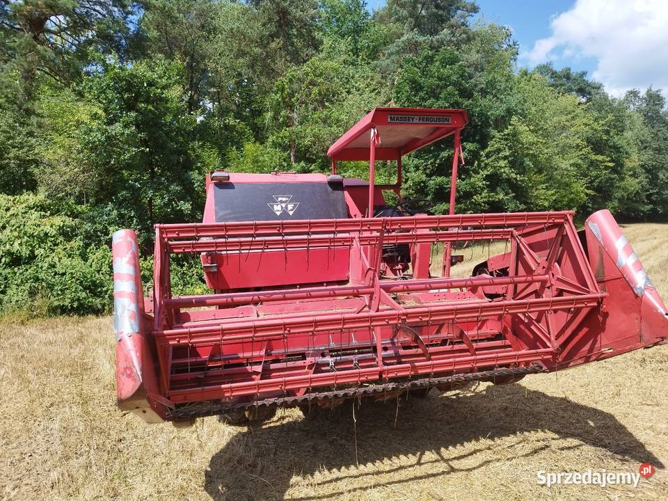 Massey Ferguson 487 Special Wróblowice