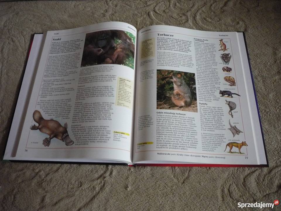 nowy Leksykon szkolny rośliny i zwierzęta Gdynia