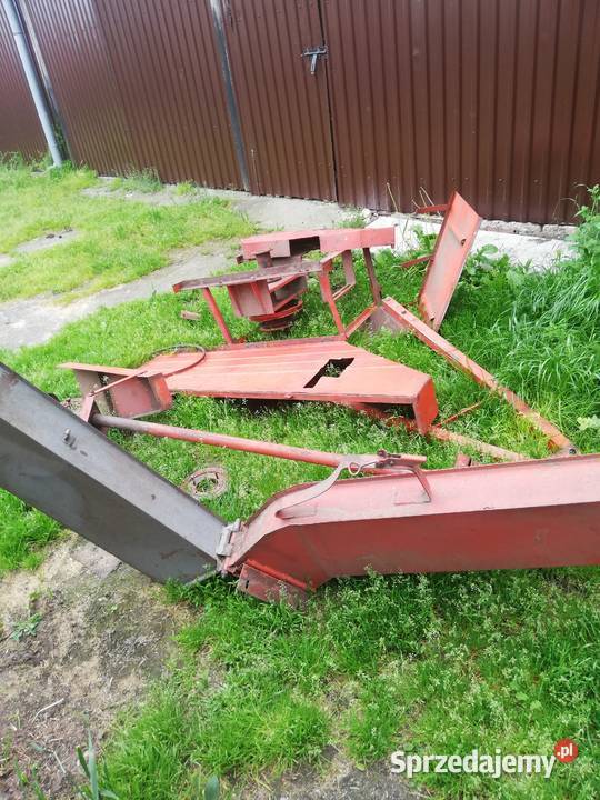 Bizon chwytacz plwe Kozłów