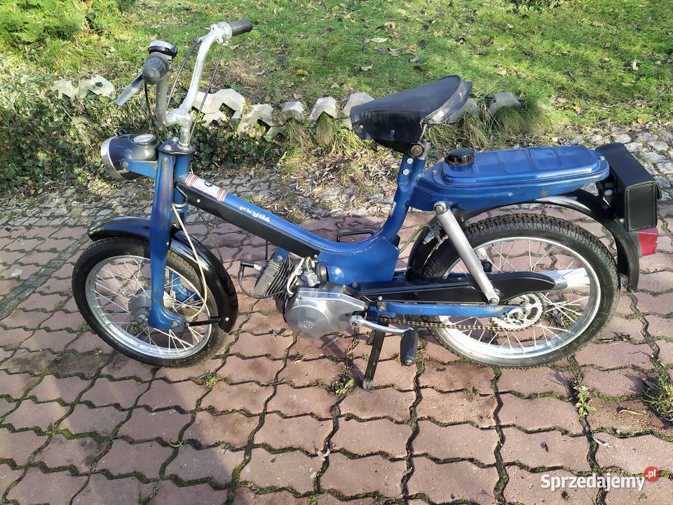 Romet Pegaz świętokrzyskie Zagnańsk