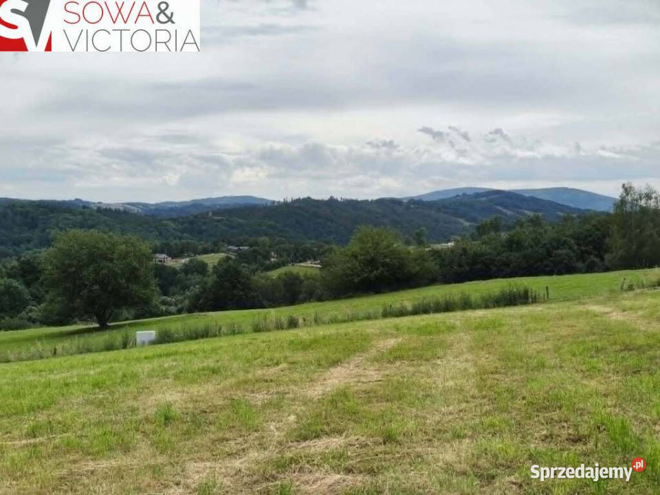 Panoramiczny widok na szczyty gór ok 1 PKP Sprzedaż Zagórze Śląskie
