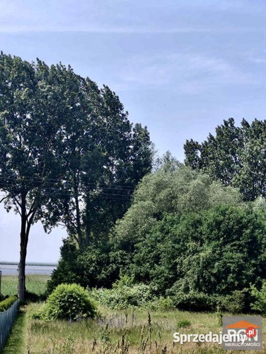 Sprzedaż gruntu Zagórze 6302 metry Sprzedaż