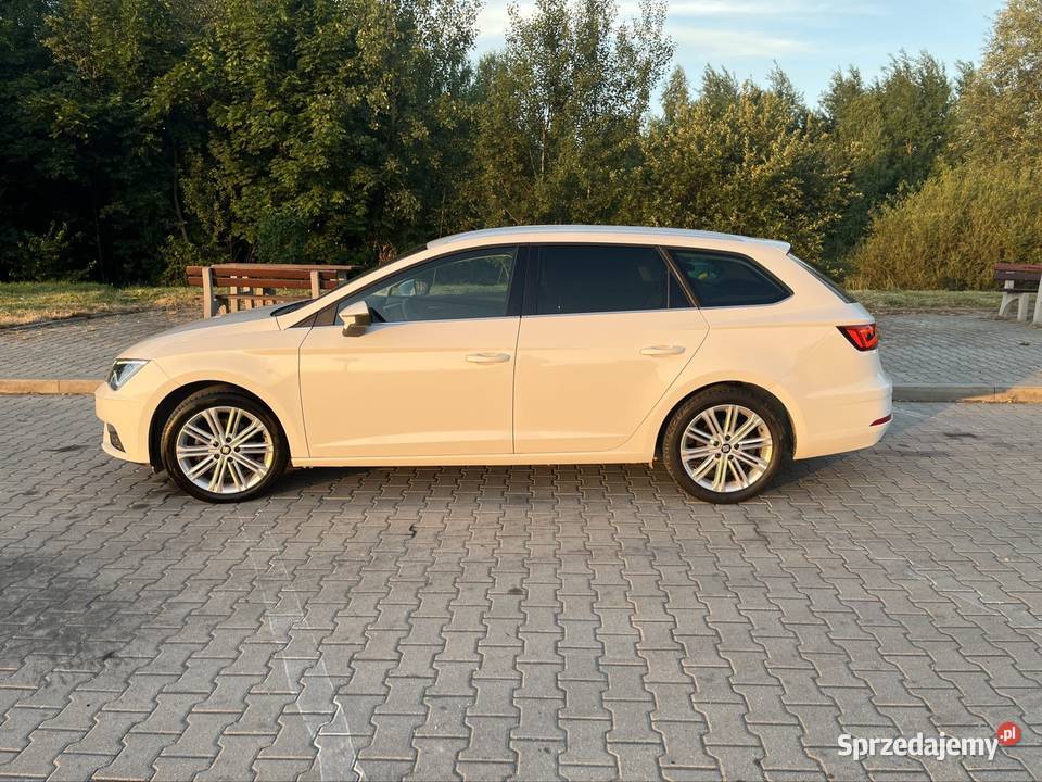 Seat Leon 20 TDI EXCELLENCE 2018 Z Niemiec Stan wielofunkcyjna kierownica Łopuszno