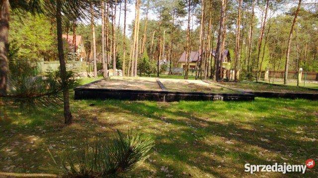 grunt do sprzedaży 1500m Wrzosów Międzyborów