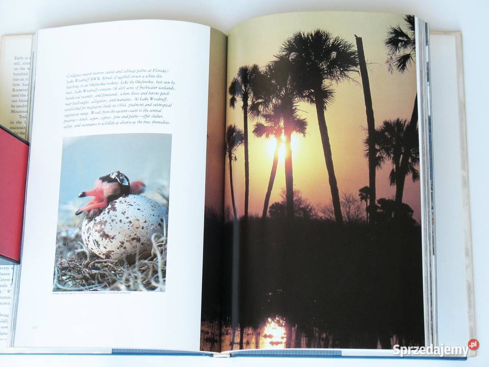 Wild Lands for Wildlife Americas National Kraków sprzedam