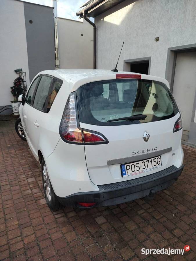 Renault scenic Ostrów Wielkopolski