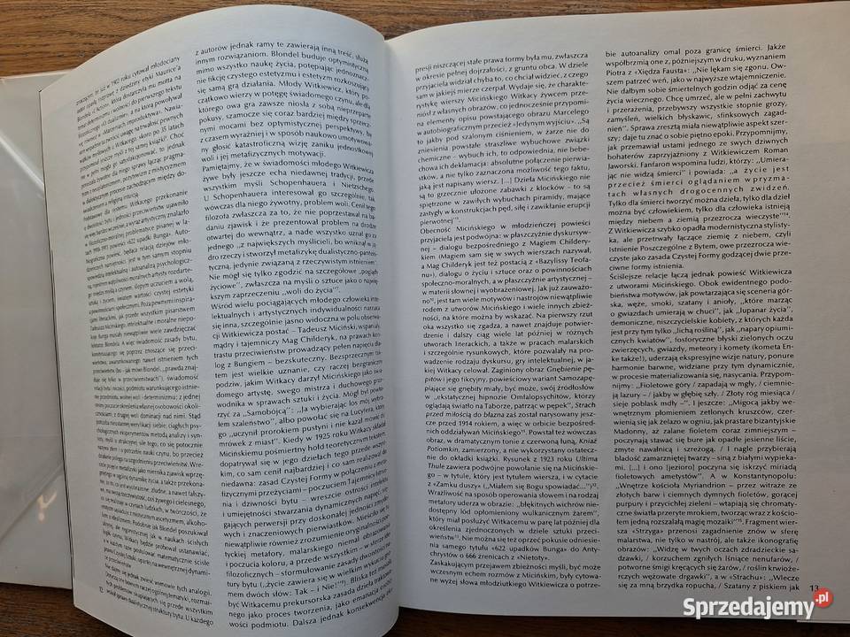 Witkacy Irena Jakimowicz Kraków