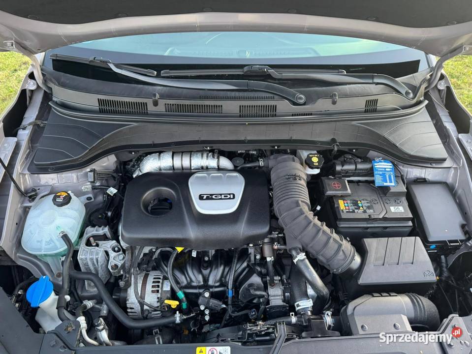 Pokna kona Bydgoszcz