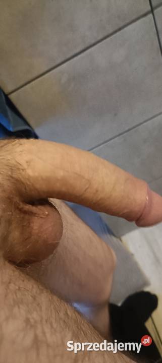 Kutas do wynajęcia wielkopolskie Poznań